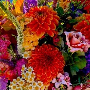 Meet your Posher, Brianna